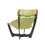Кресло для отдыха Модель 11 Mebelimpex Венге Verona Apple Green - 00010832 - 3